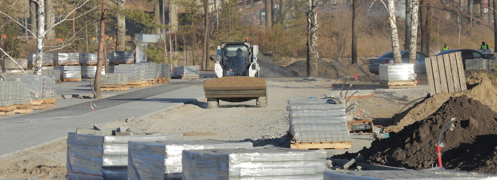 Парк у нового ЛДС в Новосибирске засадят хвойными и яркими ивами