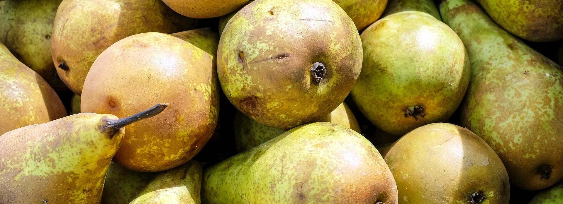 Тонну санкционных груш из Польши уничтожили в Новосибирской области