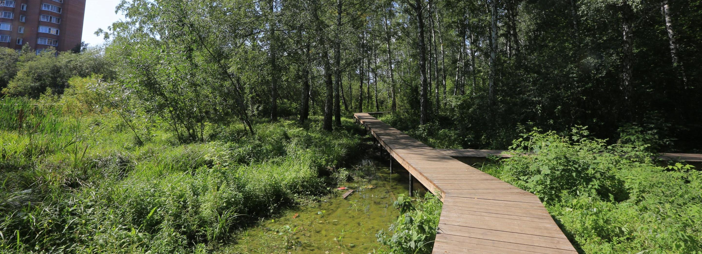 Парк «Каменка» в Новосибирске достроят к концу 2026 года