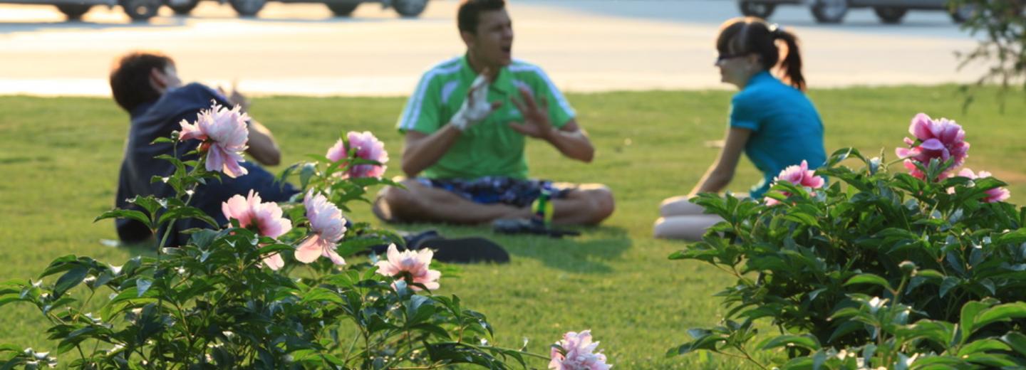 Бордовую живую изгородь восстановят в Первомайском сквере