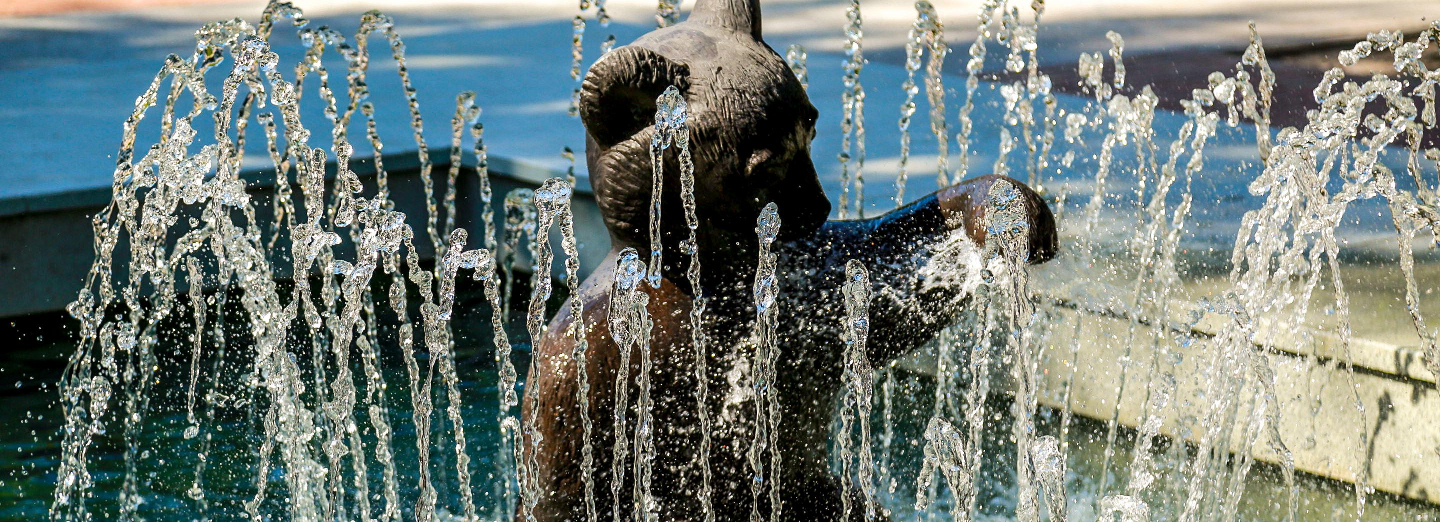 Фонтан «Мишка» заработал в Первомайском сквере