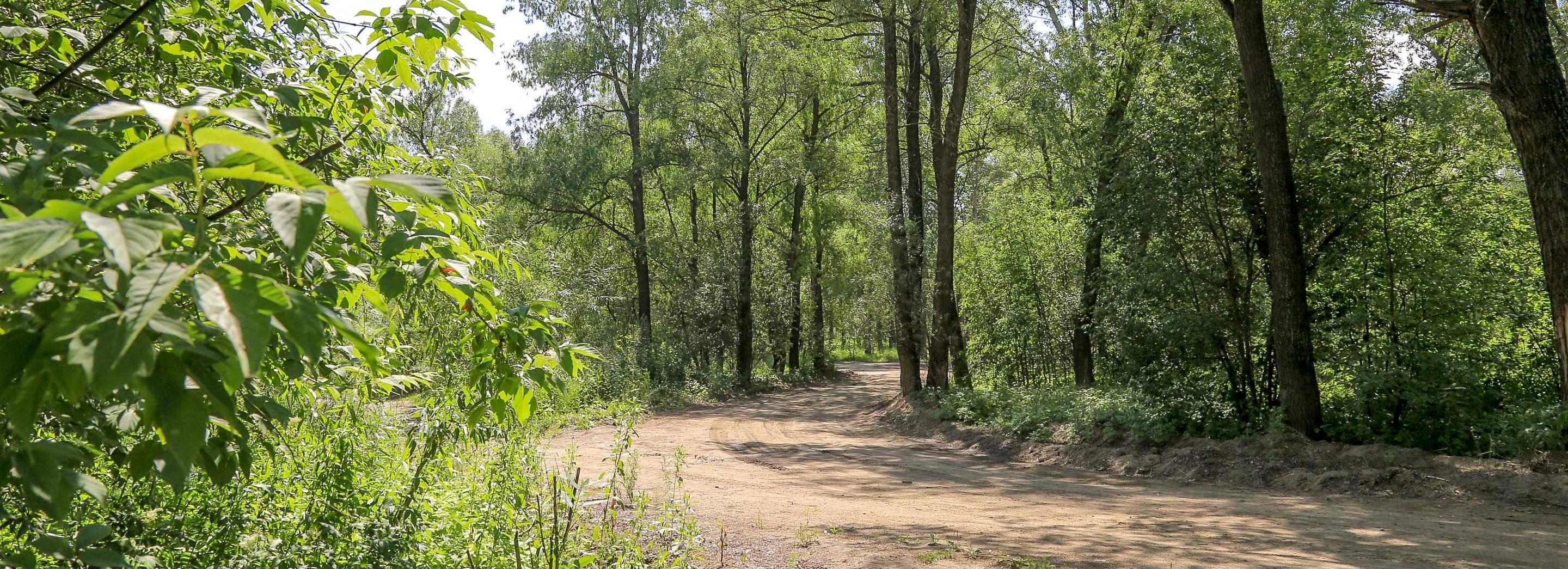 Миллион потратят на информщиты для памятников природы под Новосибирском