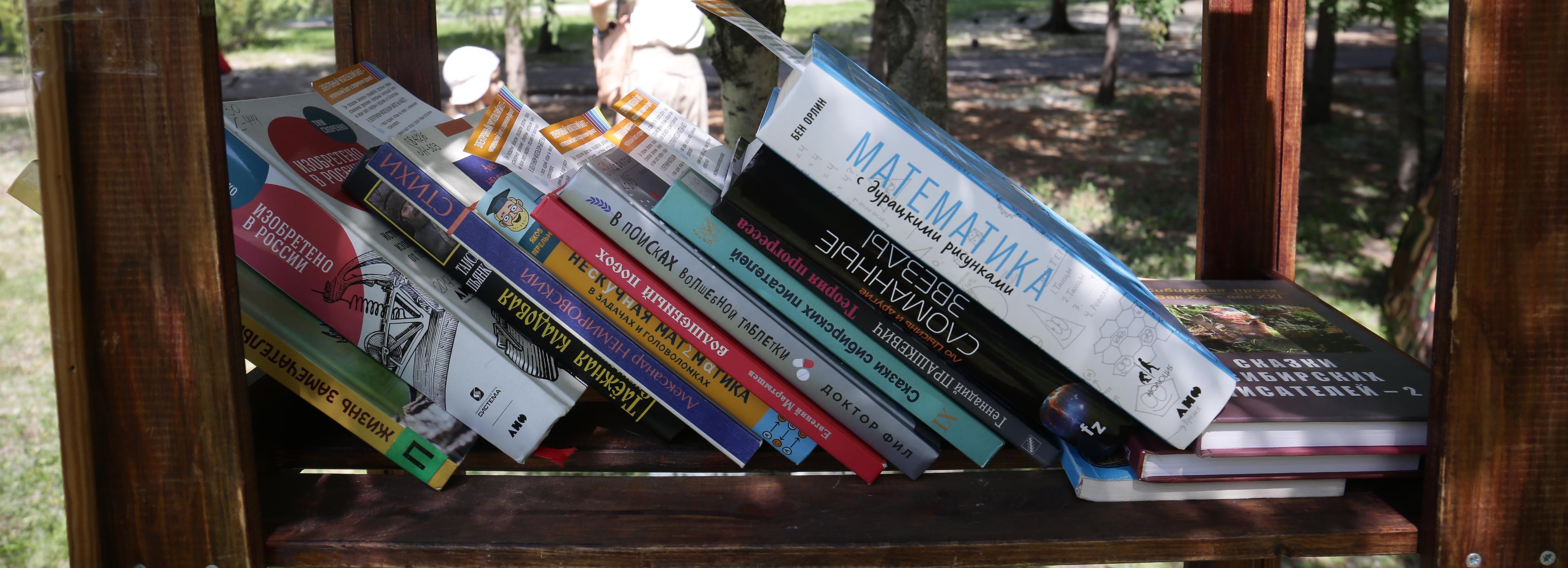 Новосибирцев позвали на День семьи с гуслями и книгами в парке Кирова