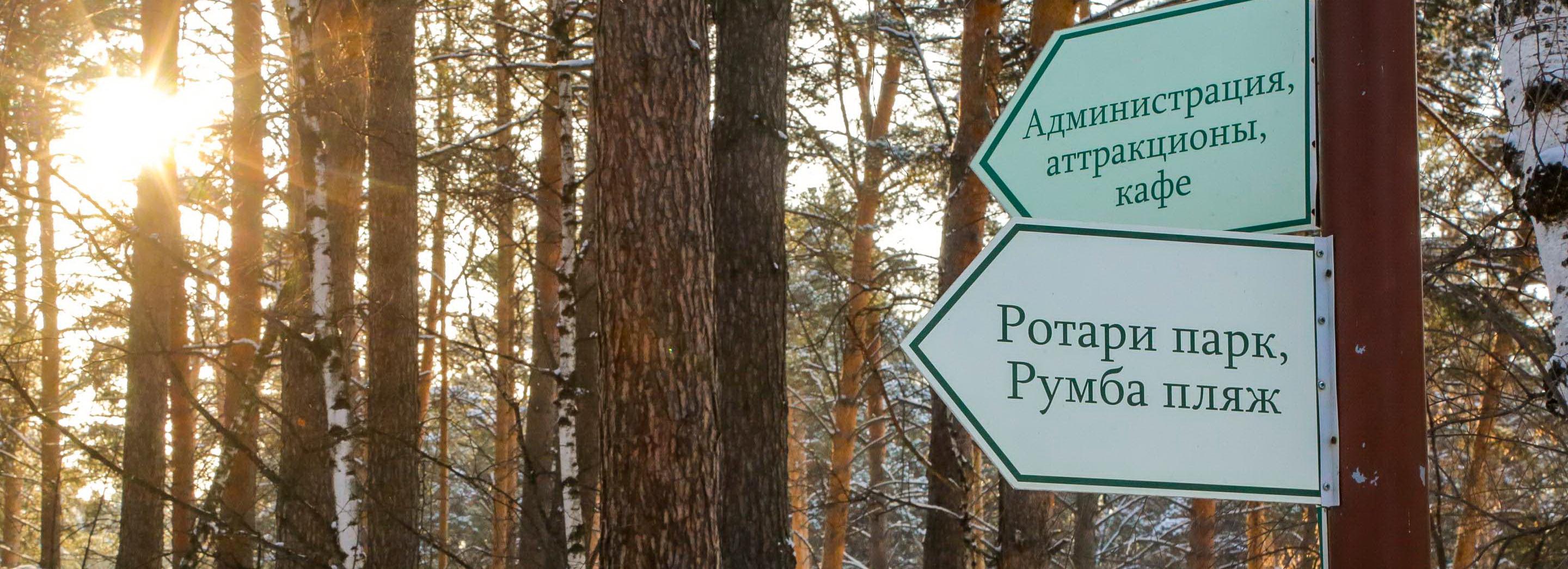 Компания банкира Кима реконструирует профилакторий в Сосновом бору