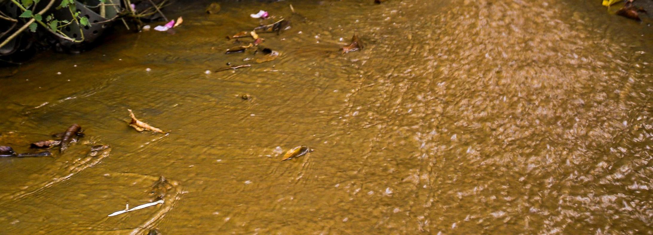 Ржавый цвет реки Нарниста в Новосибирске объяснили загрязнением стоками