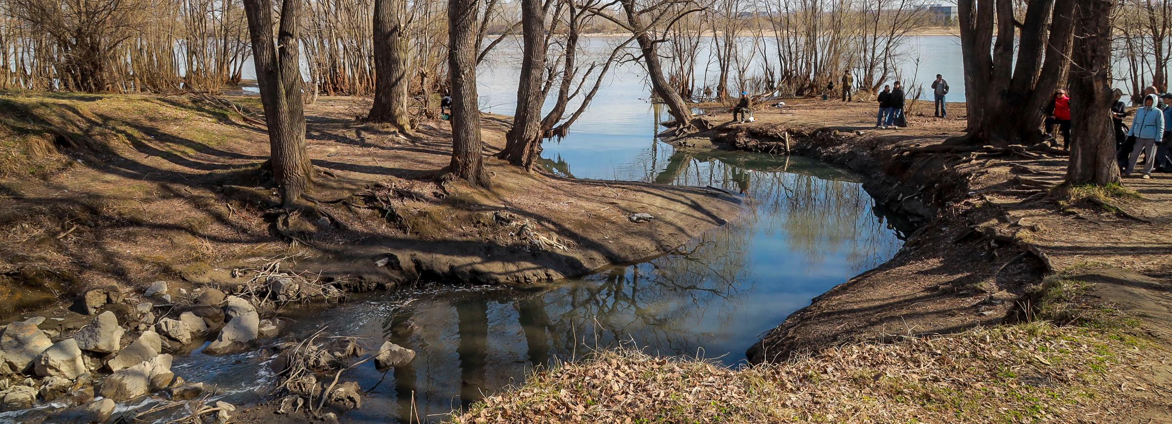 Мэр Кудрявцев: в парке «Чемской берег» начали расчищать территорию
