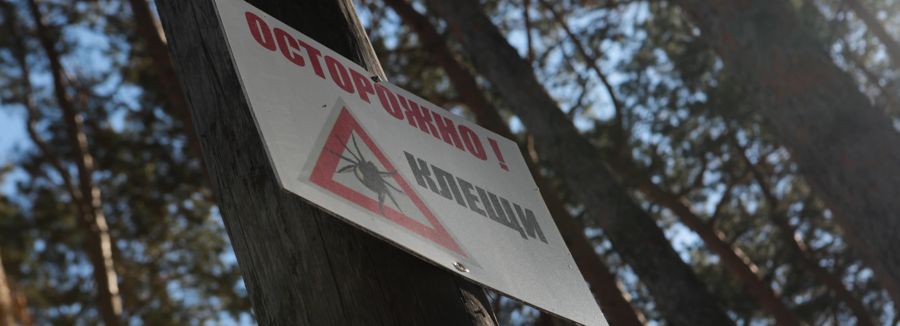 Клещи за неделю укусили 128 жителей Новосибирской области