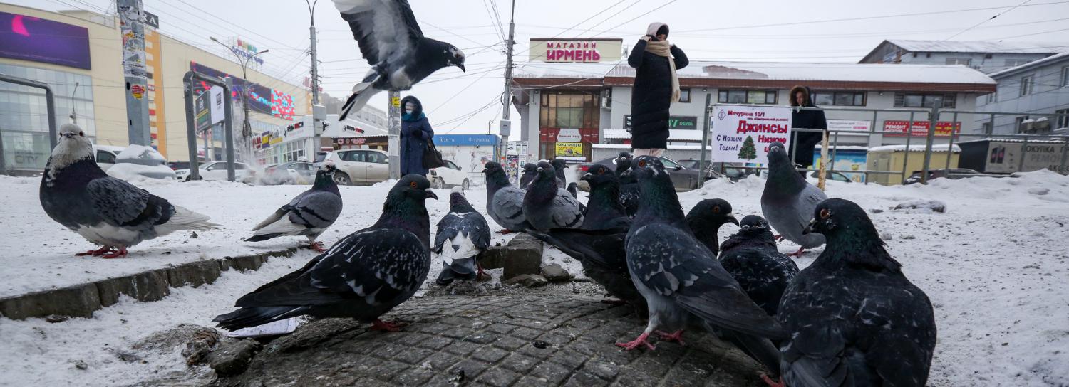 О резком похолодании предупредили новосибирцев синоптики