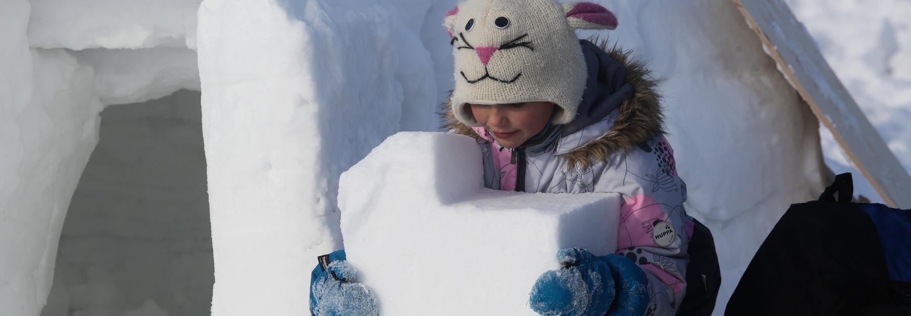 Город эскимосов с хаски и оленями построили новосибирцы на пляже