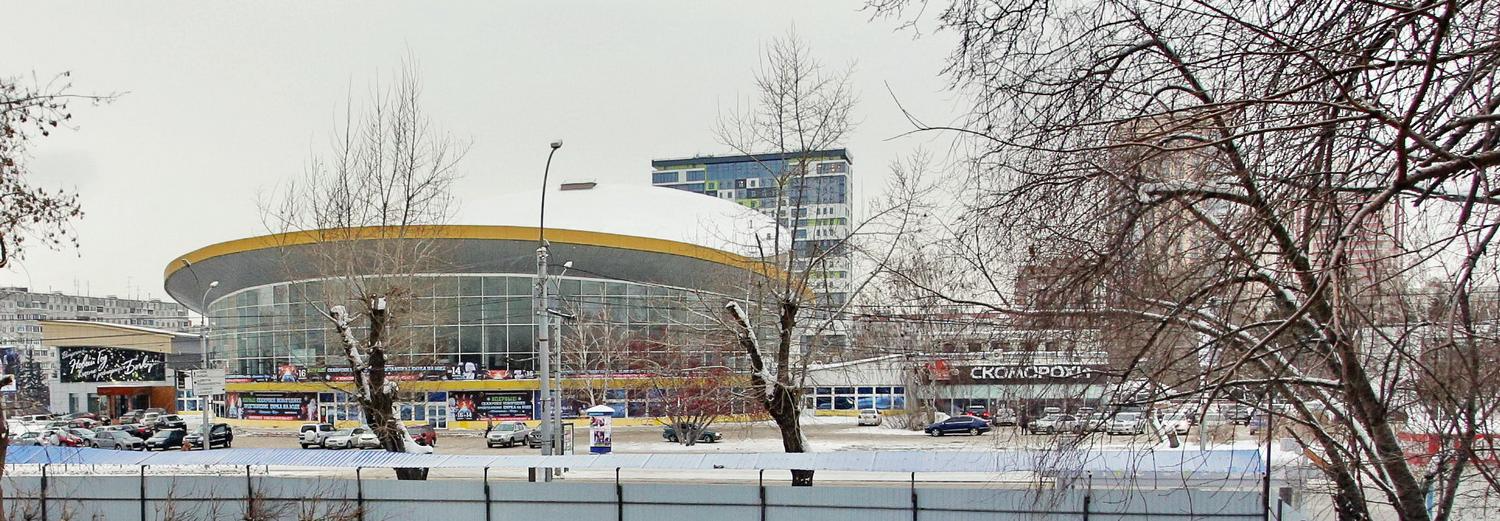 Артист сорвался с турника во время представления в Новосибирском цирке