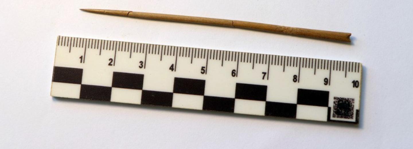 Новосибирские археологи нашли мастерскую древних людей в Хакасии