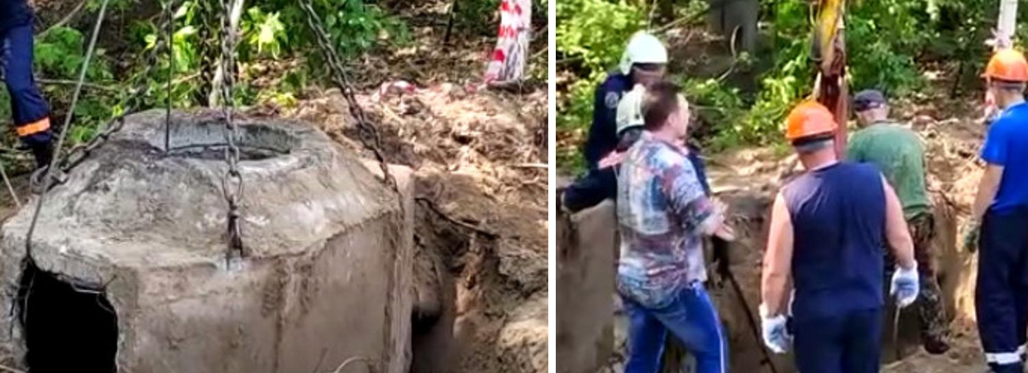 Лося Василия вызволили из колодца в Новосибирске с помощью крана