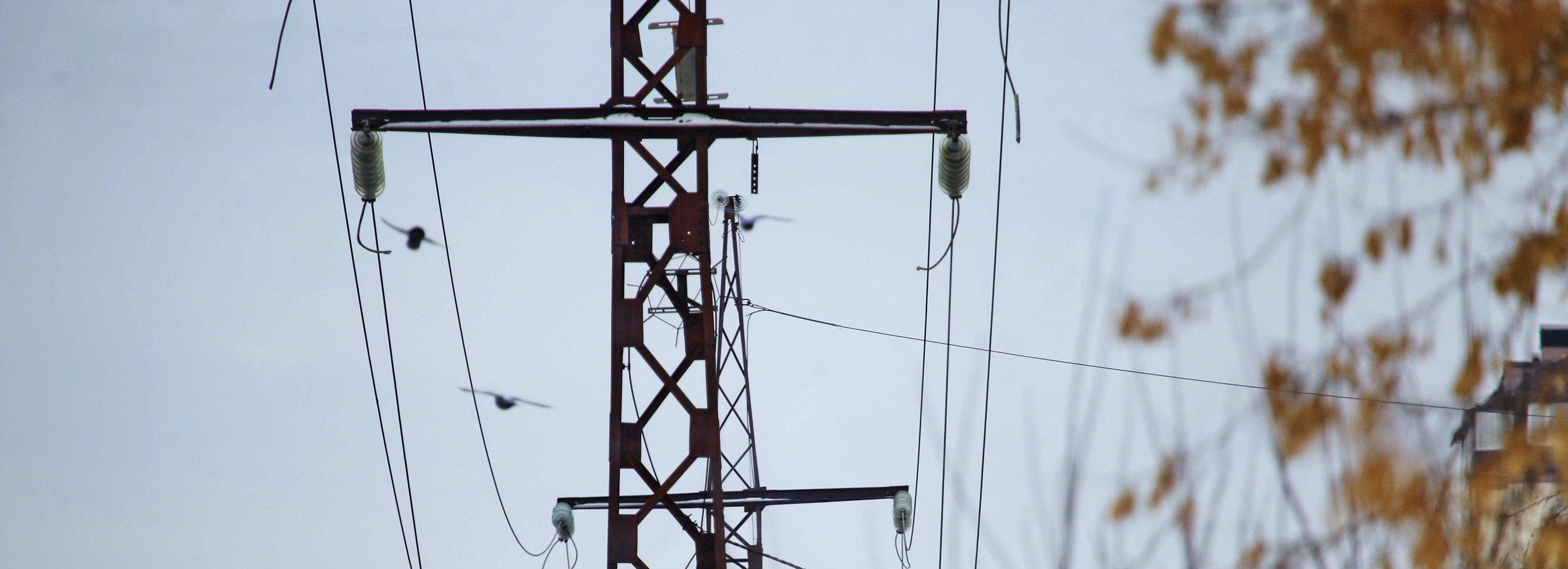 «Россети Новосибирск» вложили 4,5 млрд в модернизацию ЛЭП и подстанций