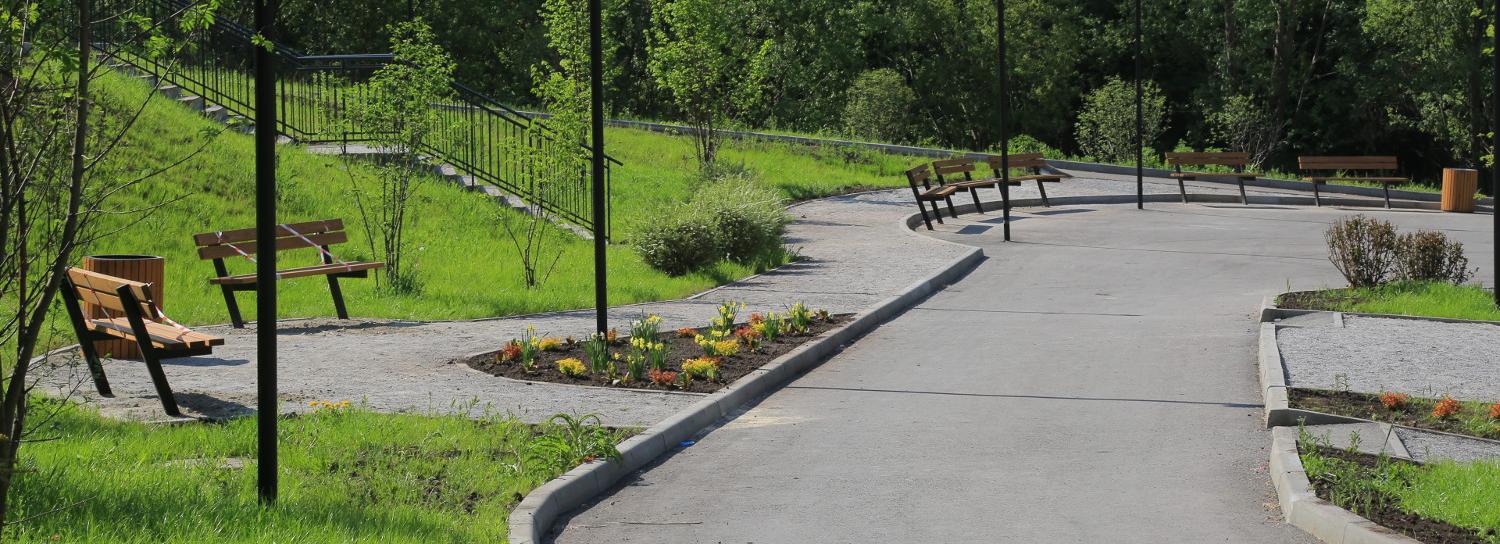 Митя Фомин откроет новый Ельцовский парк в Новосибирске