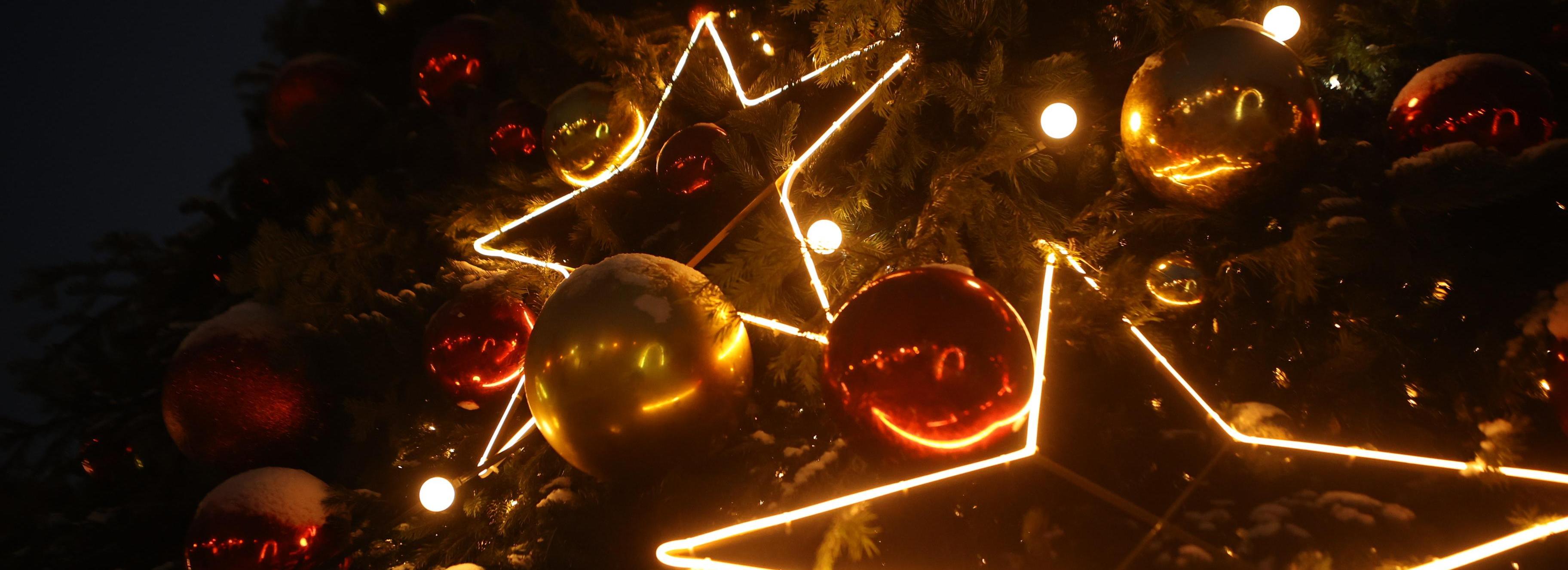 Главную городскую ёлку высотой 21 метр установят в Театральном сквере