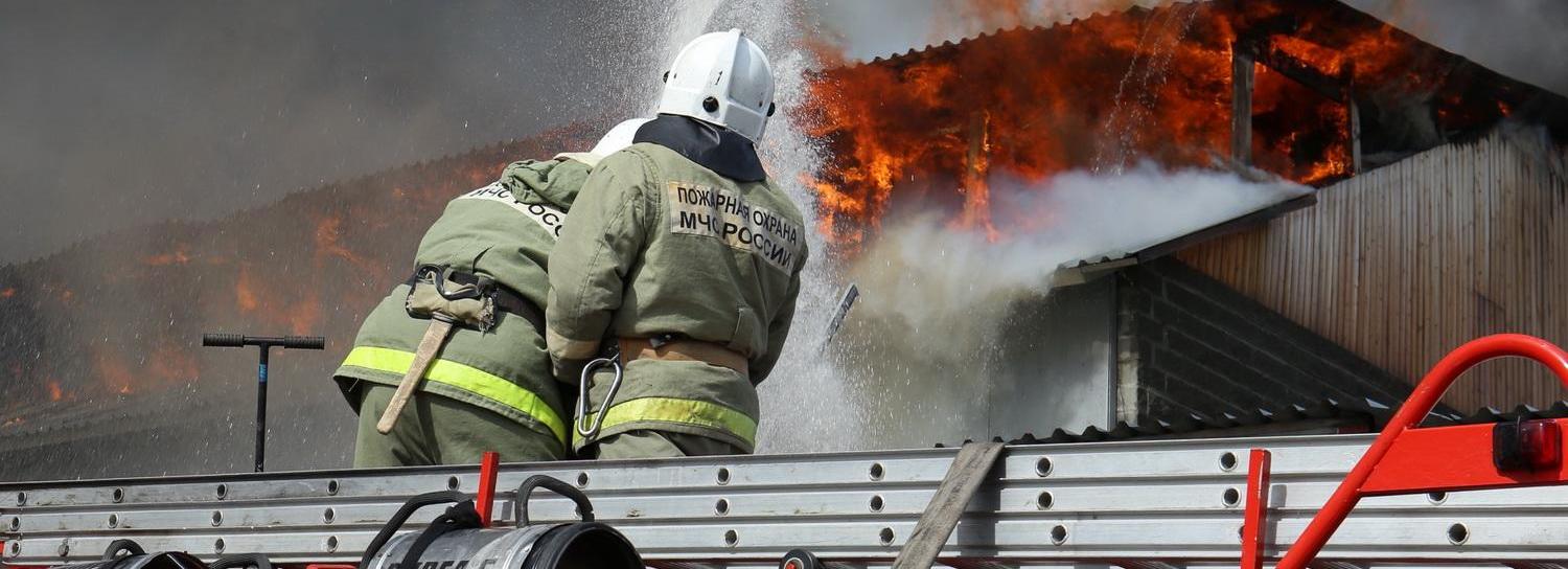 230 коров эвакуировали из пожара в Мурашах под Новосибирском