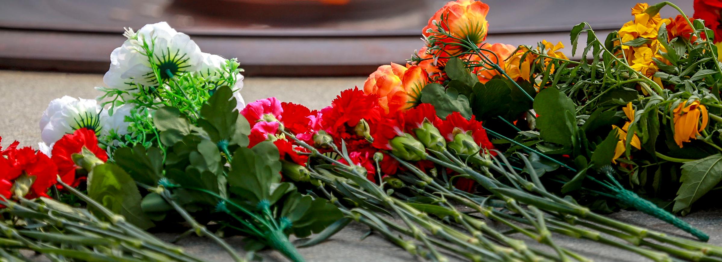 Останки бойца из Новосибирской области нашли под Волгоградом