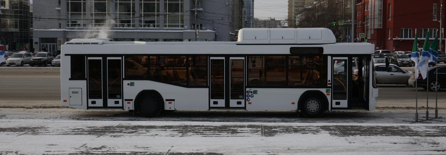 15 автобусов из Минска готовы выйти на новосибирские маршруты