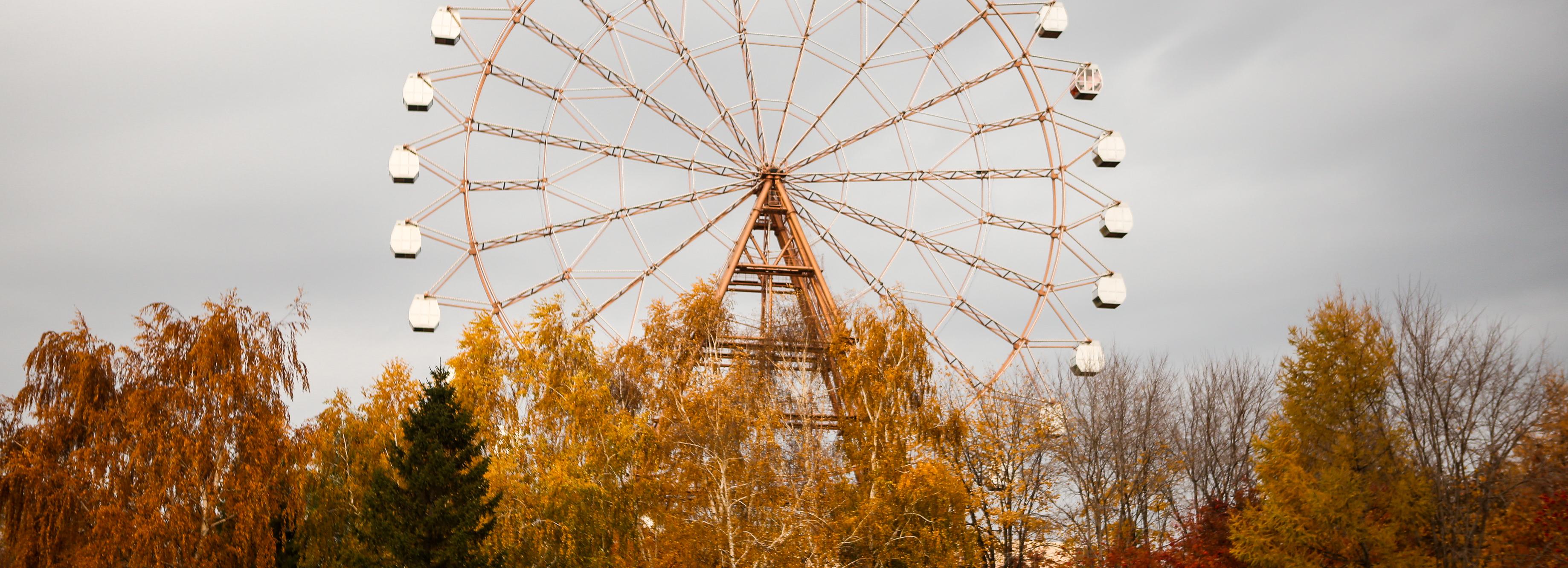 Синоптики назвали дату начала золотой осени в Новосибирске