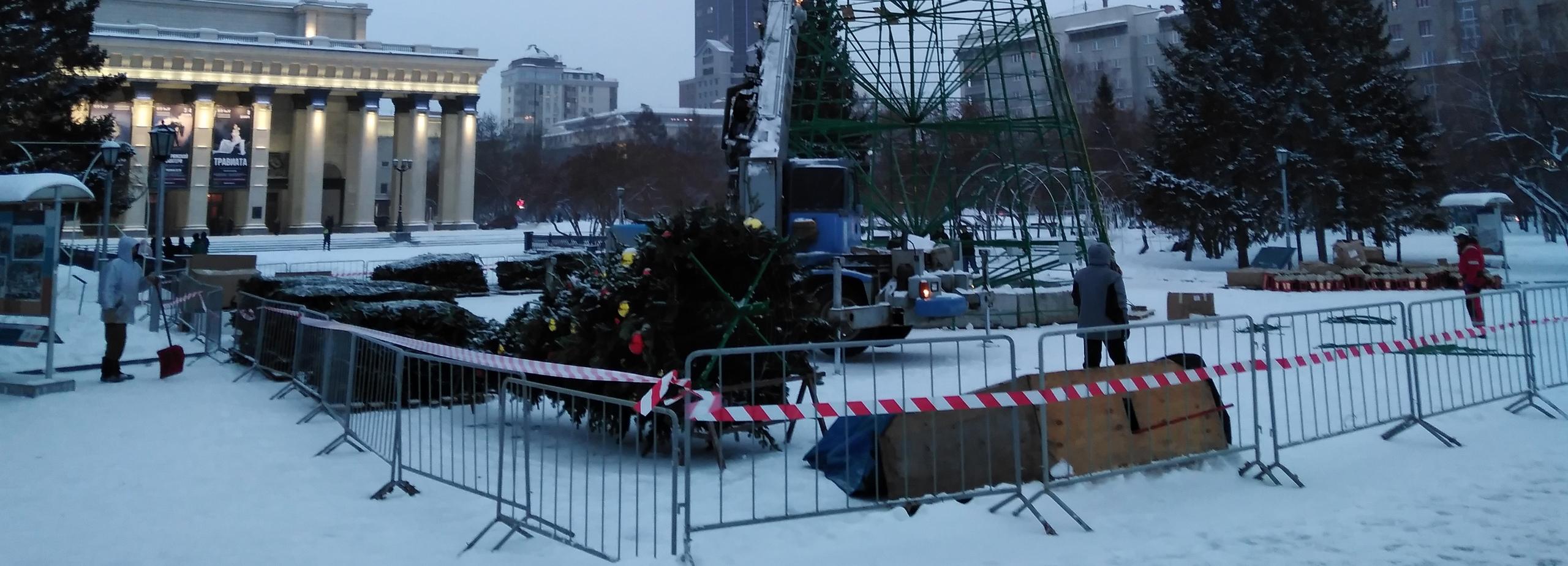 Главную городскую ёлку привезли на площадь Ленина в Новосибирске