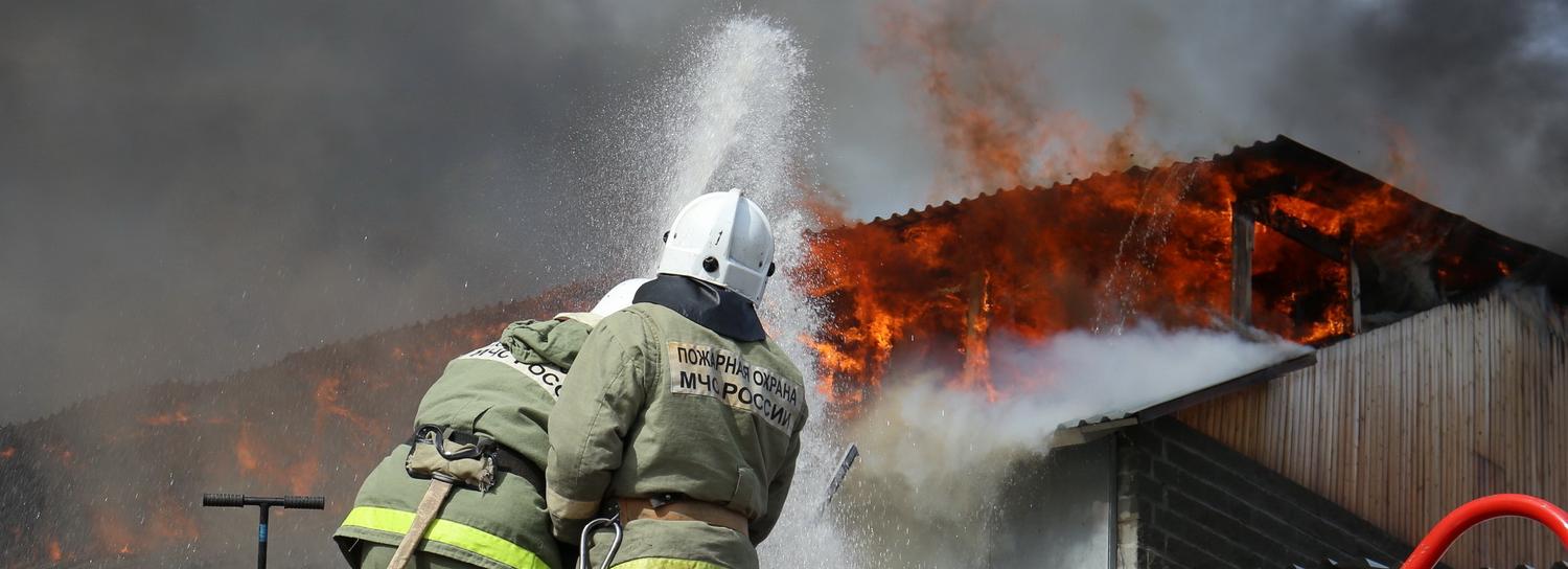Причину пожара в конном клубе под Новосибирском назвало МЧС