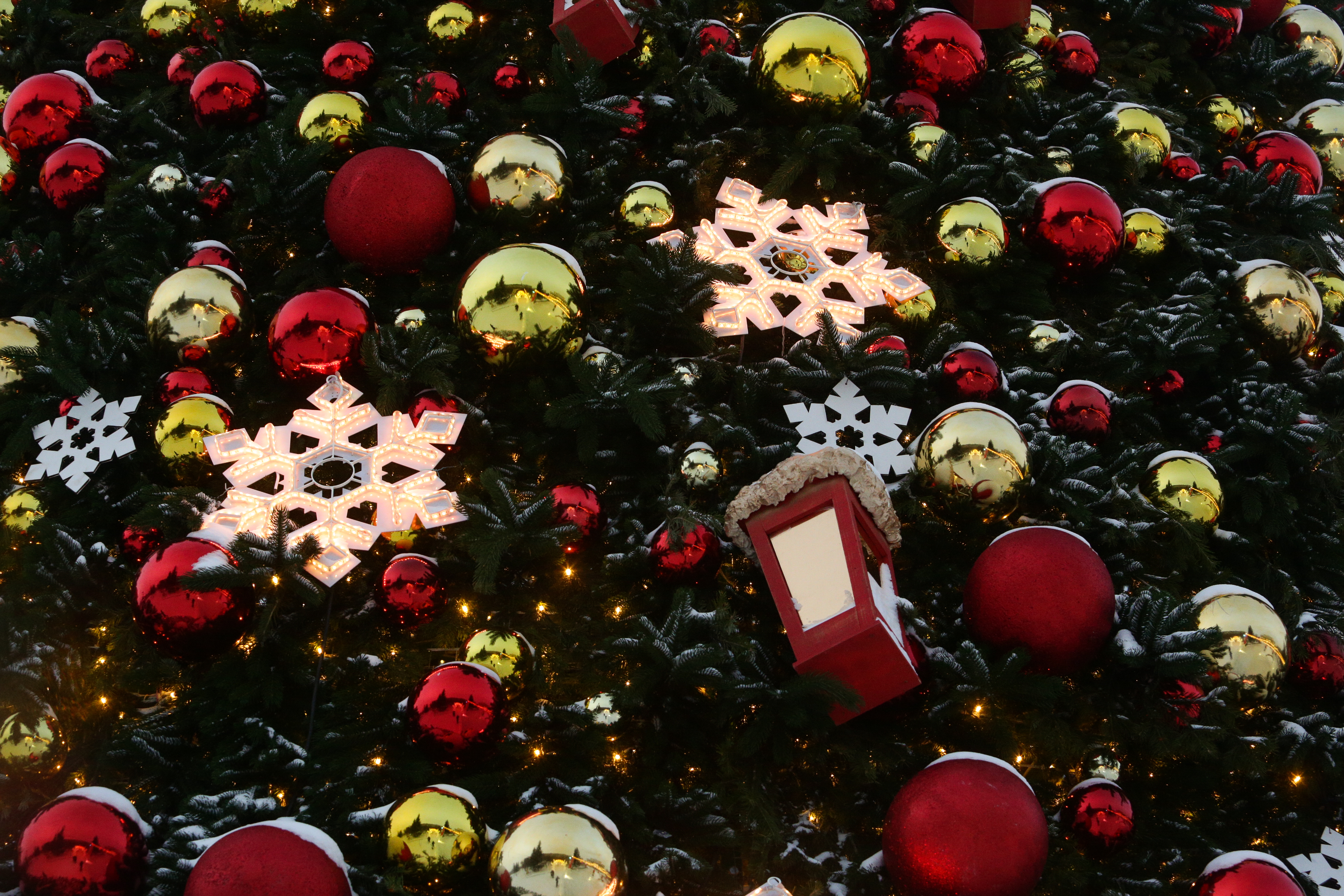 «Пусть 2020-й останется в прошлом»: мэр Локоть поздравляет с Новым годом