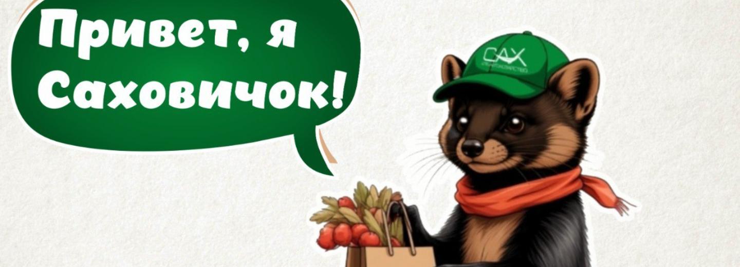 Новосибирцы выбрали имя для символа «Спецавтохозяйства»