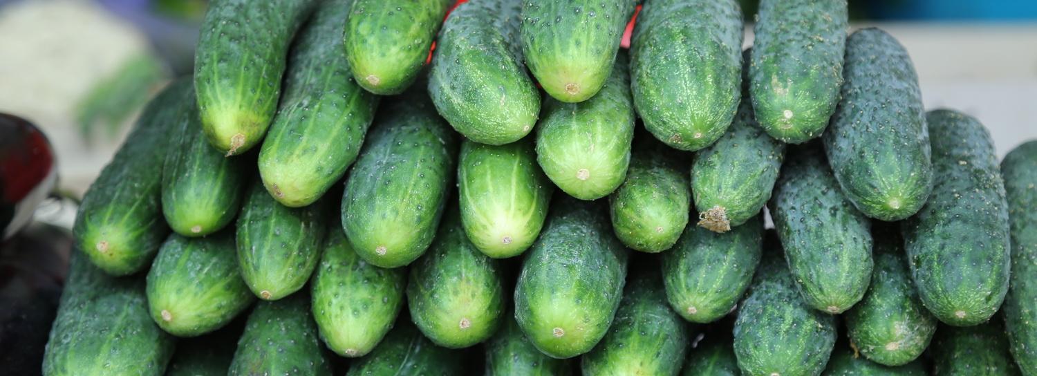 Огурцы, помидоры и яйца подорожали в Новосибирске за ноябрь