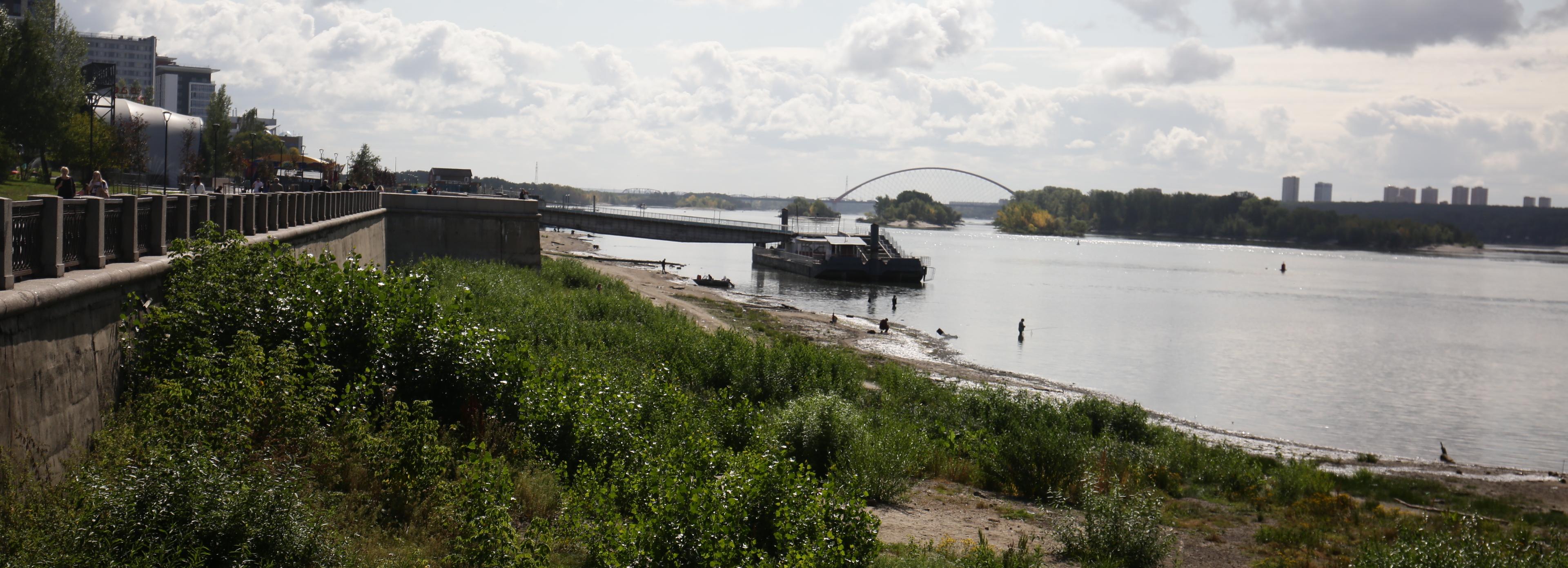 Штормовое предупреждение из-за падения уровня Оби объявили в Новосибирске