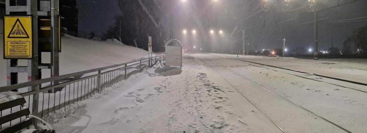 Поезд задел стоящую на платформе женщину в Новосибирской области