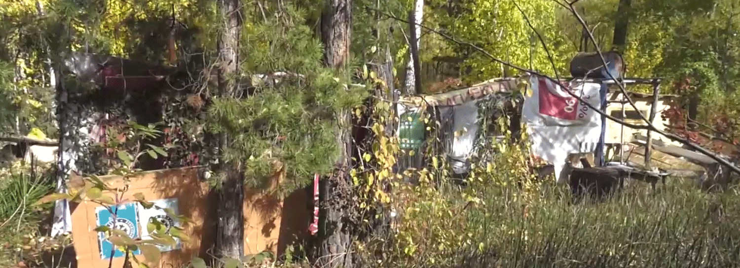 Незаконную летнюю кухню обнаружили на острове в Новосибирске