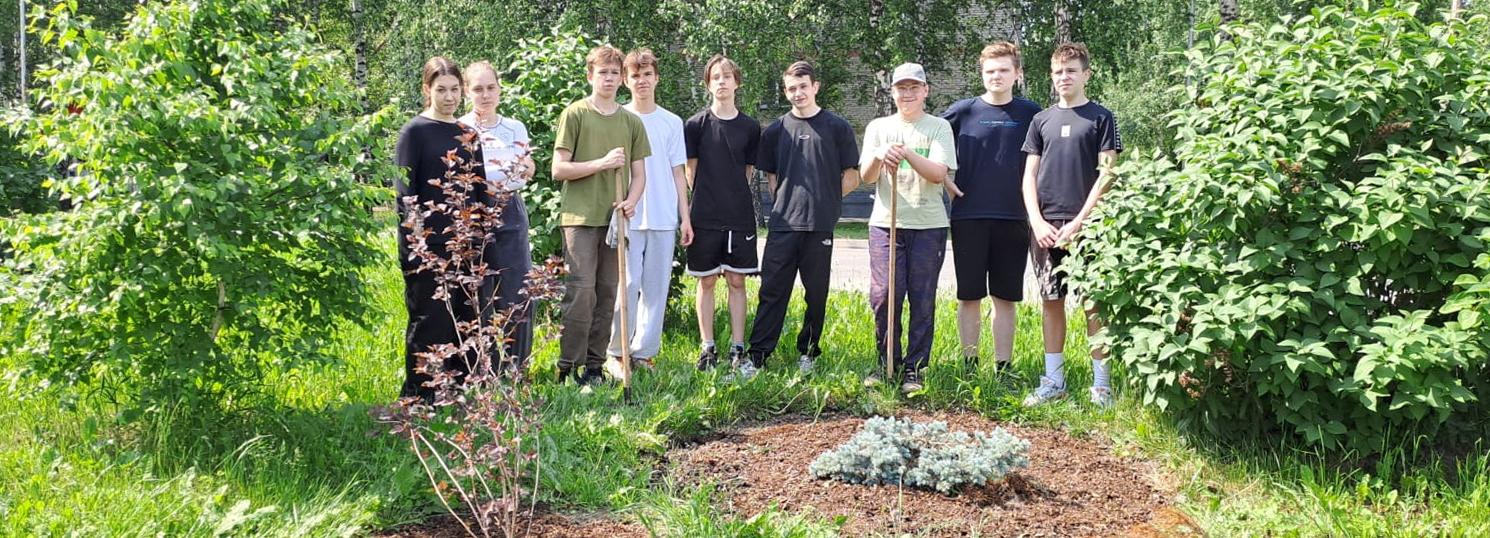 Лучшую клумбу от юных цветоводов выбрали в Новосибирске