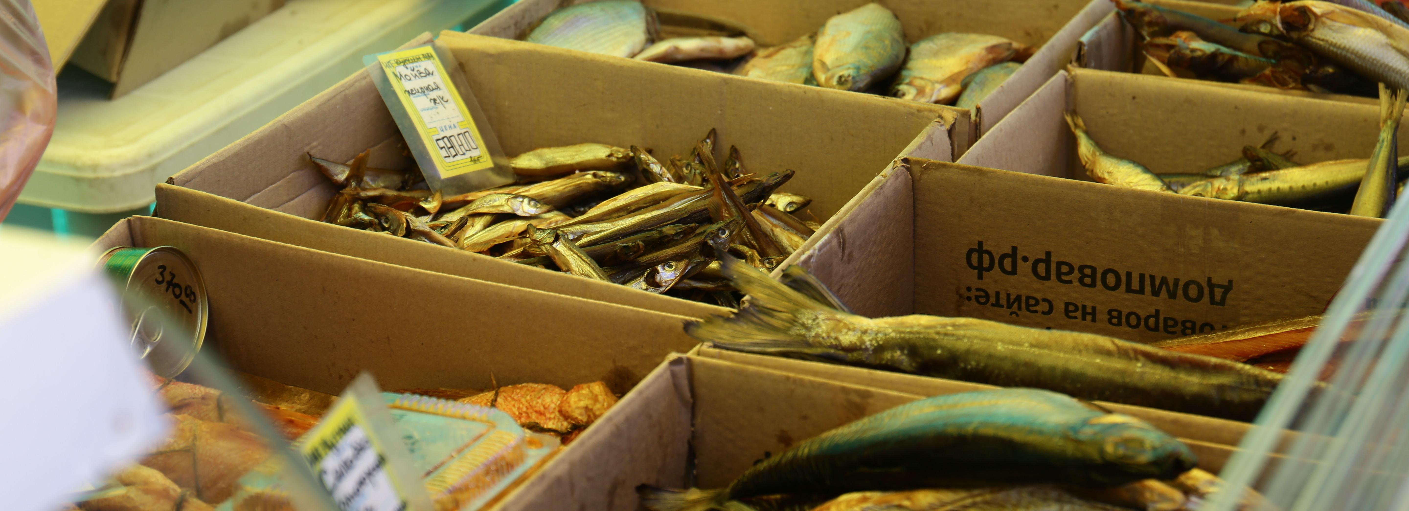 Фермеров, дачников и предпринимателей зовут на ярмарку в Первомайке