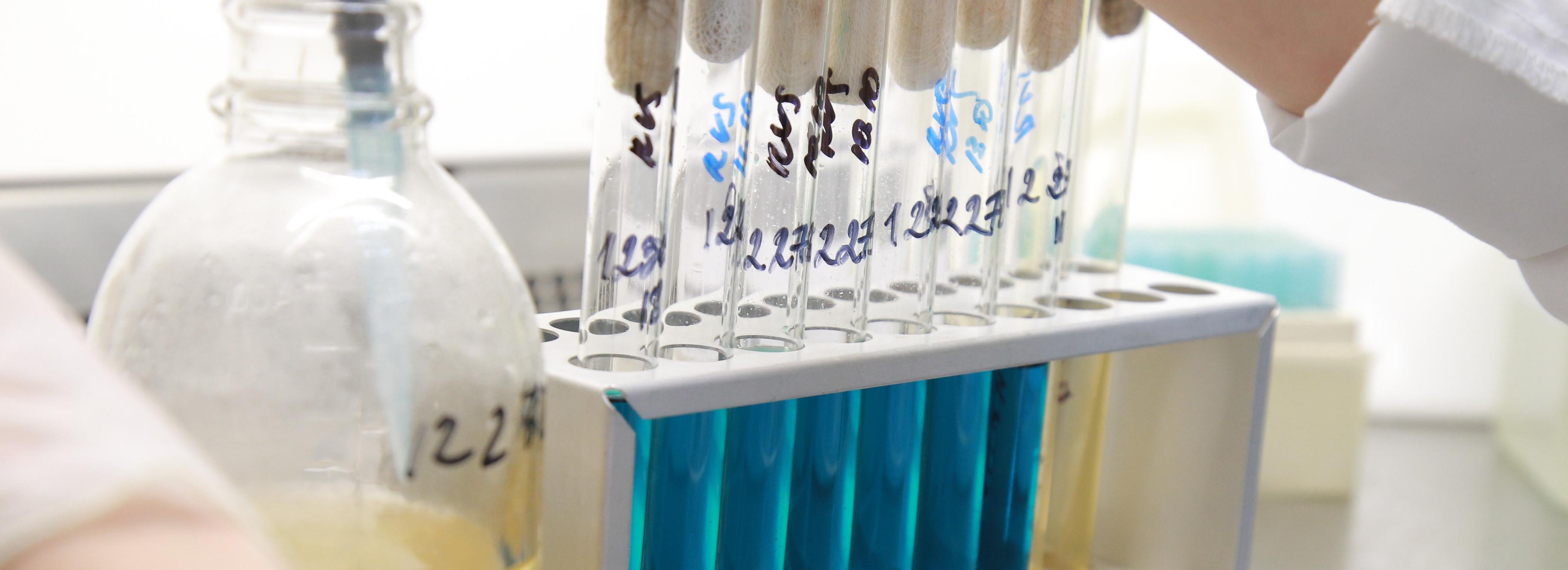 Новые капли от конъюнктивита разработали новосибирские учёные