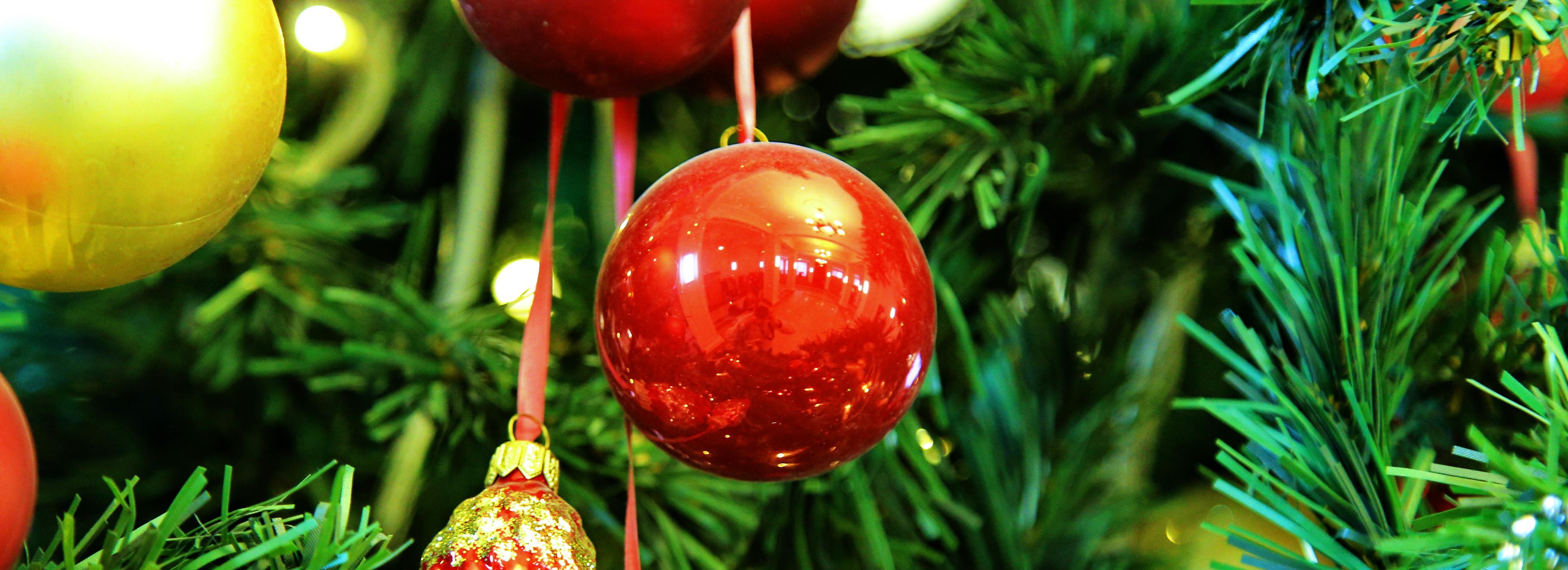 От Франции до Самары: новосибирцы начали бронировать отели на Новый год