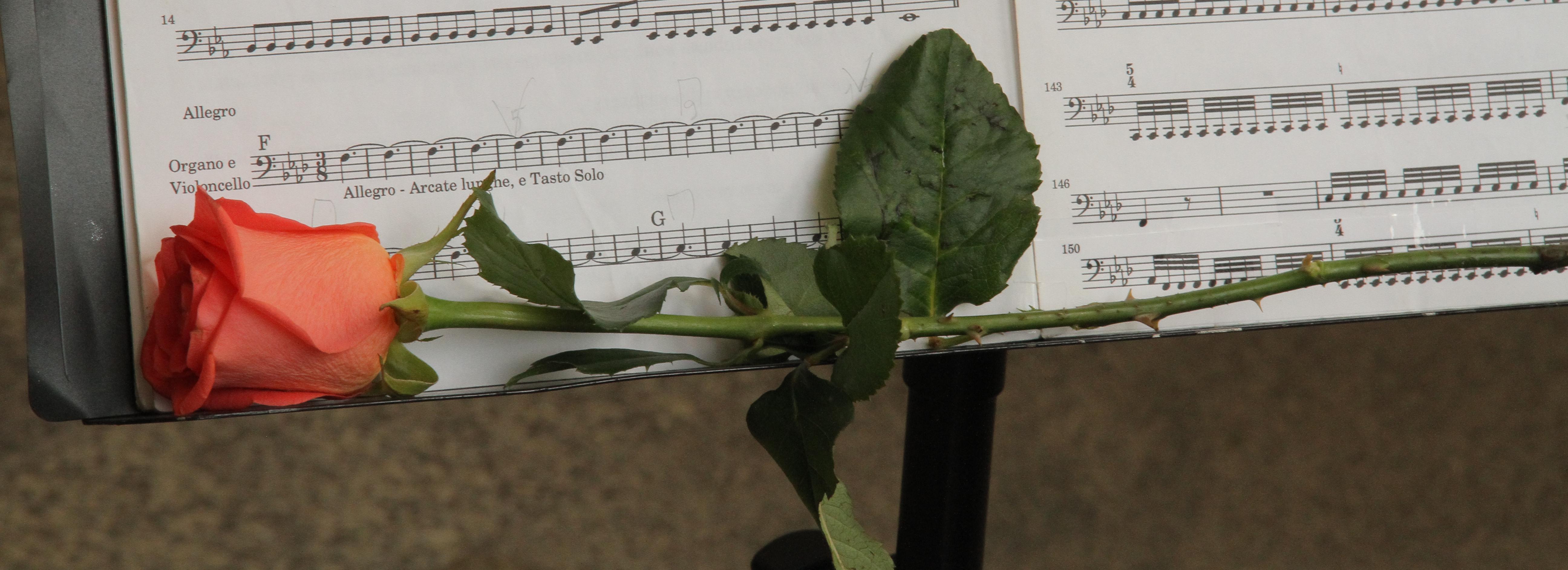 Мэр Кудрявцев: Новосибирск поборется за звание культурной столицы — 2027