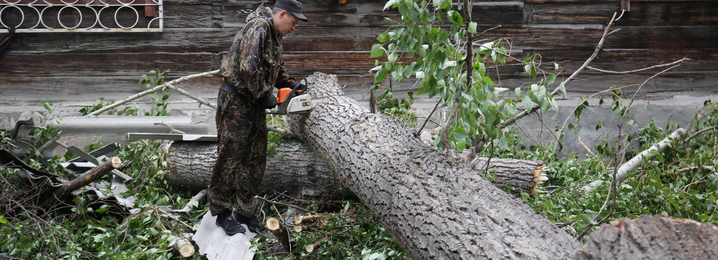 Что делать, если на вашу машину упало дерево