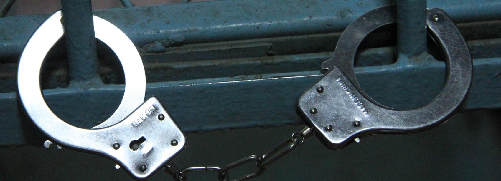 Адвокат сообщила, что больного раком Проничева поместили в карцер