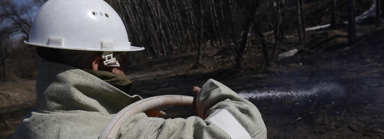Жительница Новосибирской области чуть не сожгла село одним костром