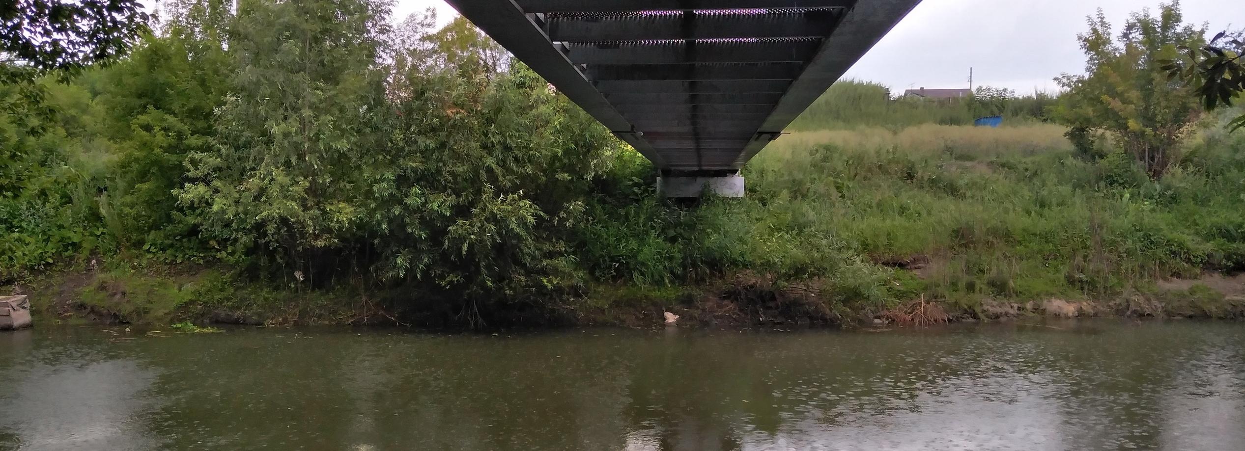 Водно-зелёный каркас внесут в генплан Новосибирска в этом году