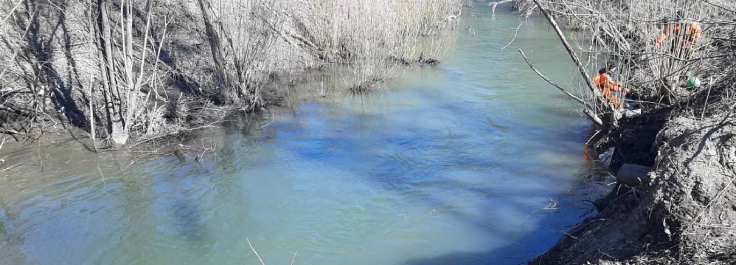 Мэр Кудрявцев призвал новосибирцев не бросать мусор в реки