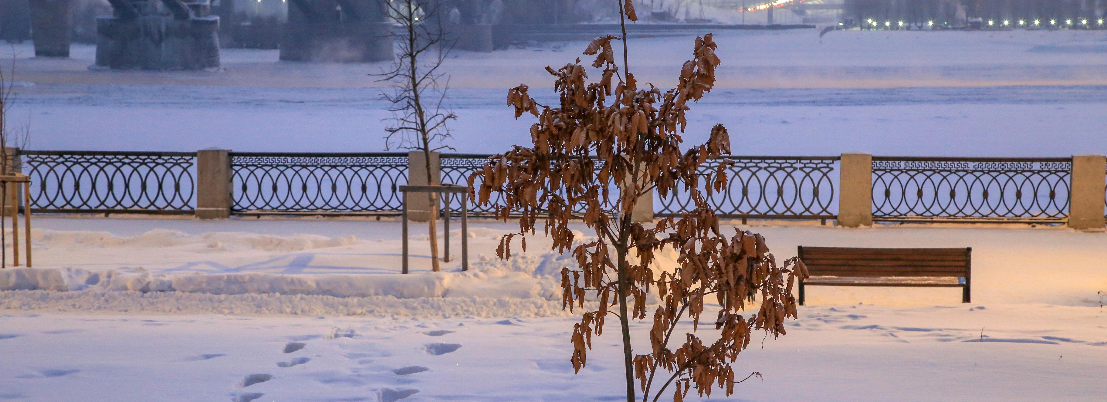 Морозы в Новосибирске встанут на паузу на выходных