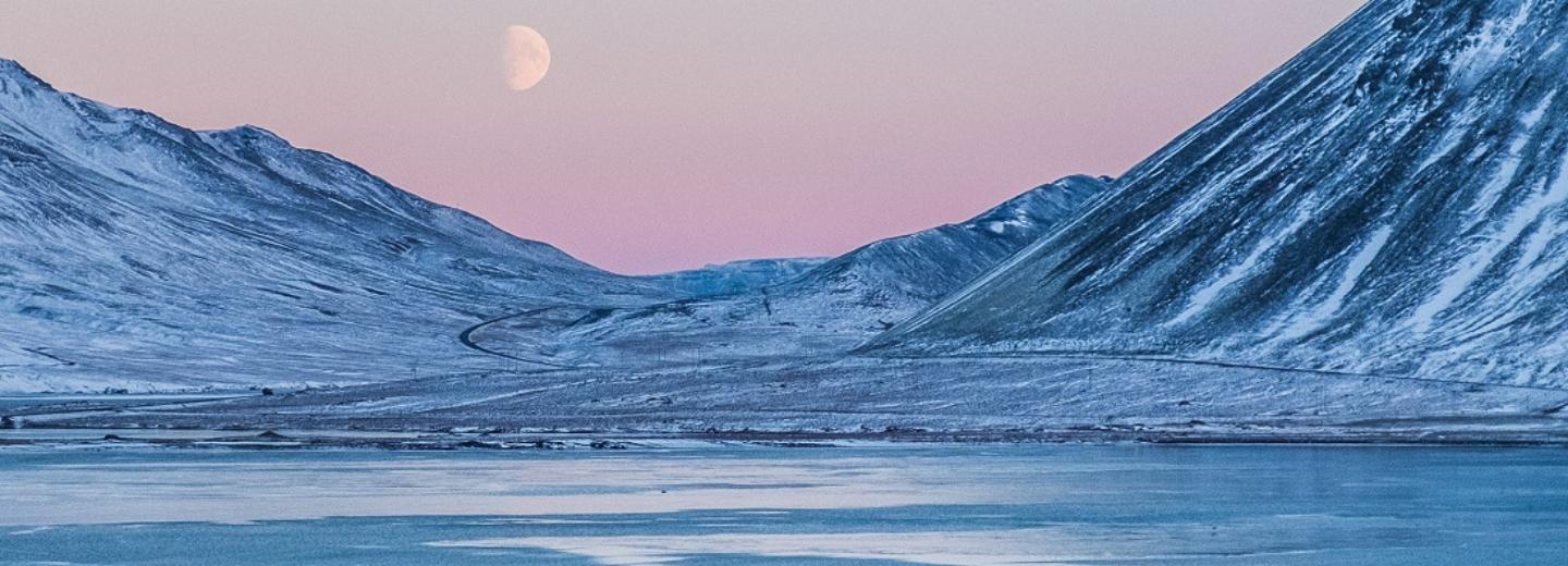 «Что ни кадр, то изумление»: фильмы об Арктике покажут на Beat Weekend