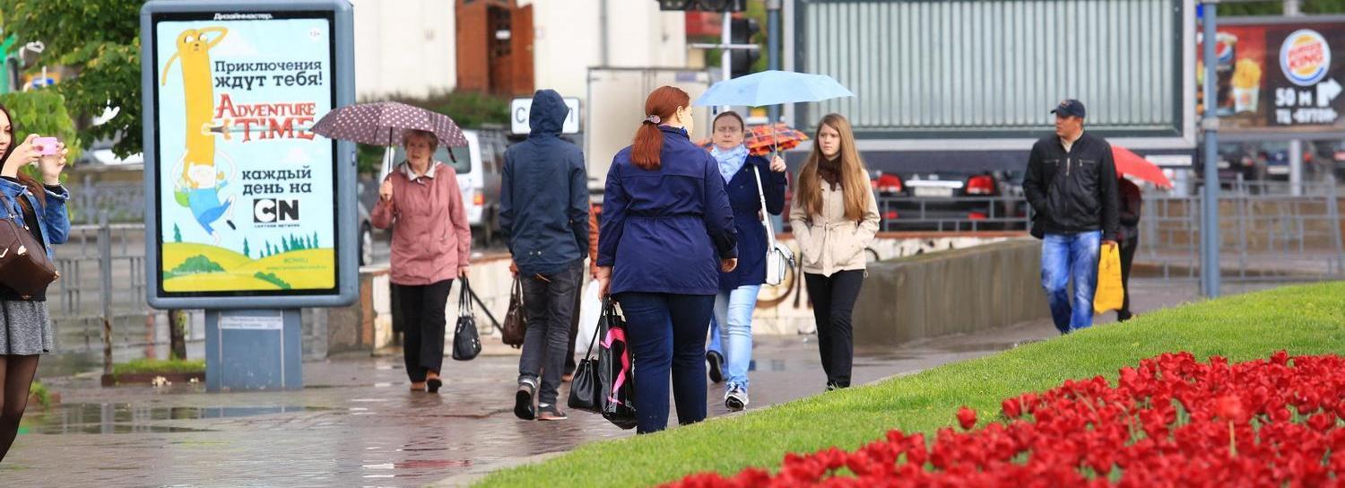 В Новосибирскую область пришли дожди, ветер и заморозки