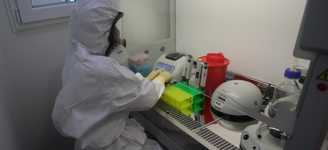 Новосибирские COVID-лаборатории усилили мощным оборудованием