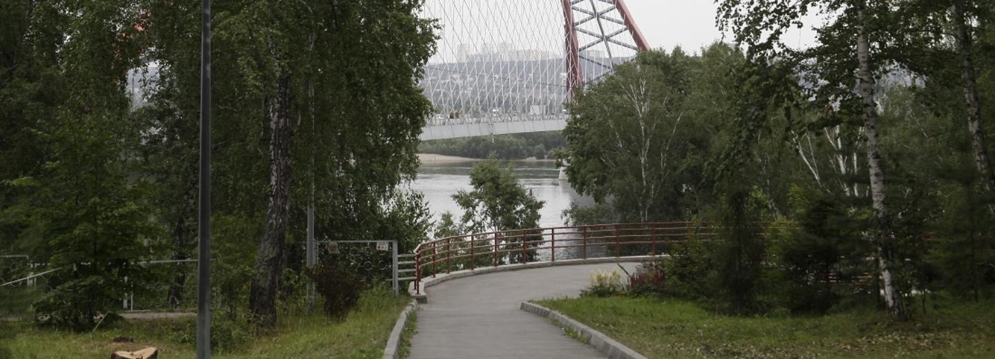 Спецпроект «Зелёный Новосибирск»: чем хороши Берёзовая и Бугринская рощи