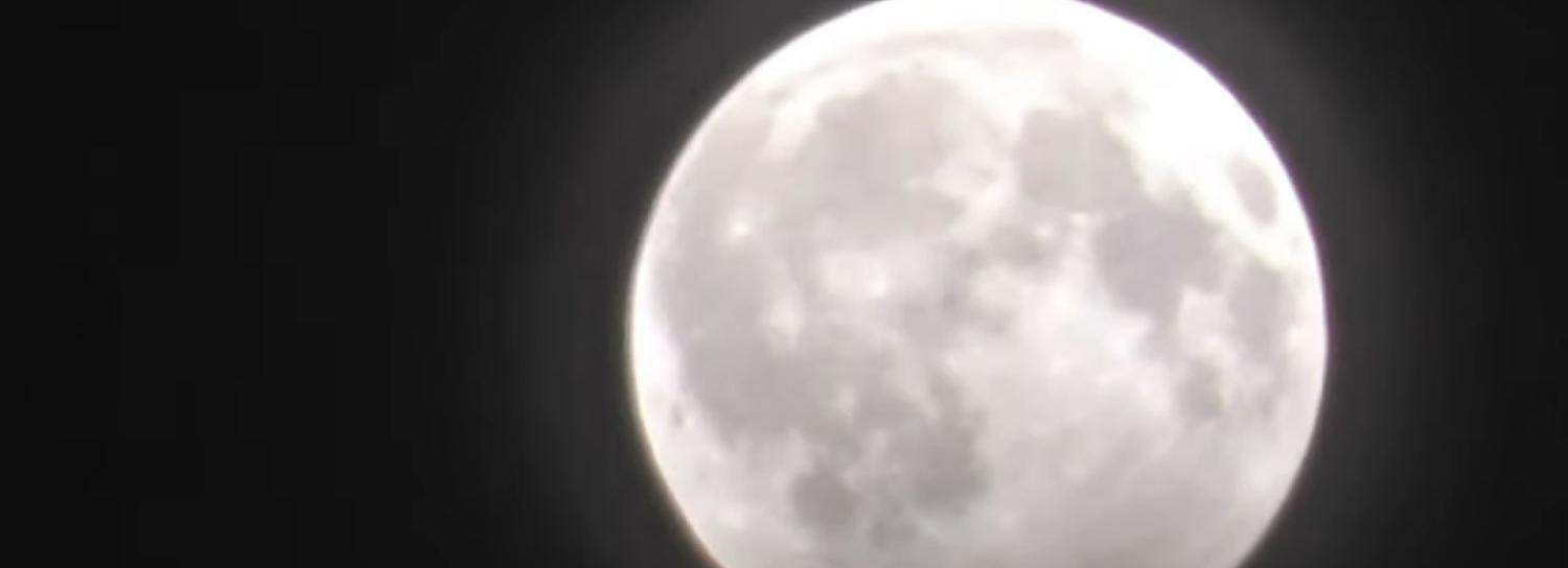 Новосибирец снял на видео Волчью луну 11 января