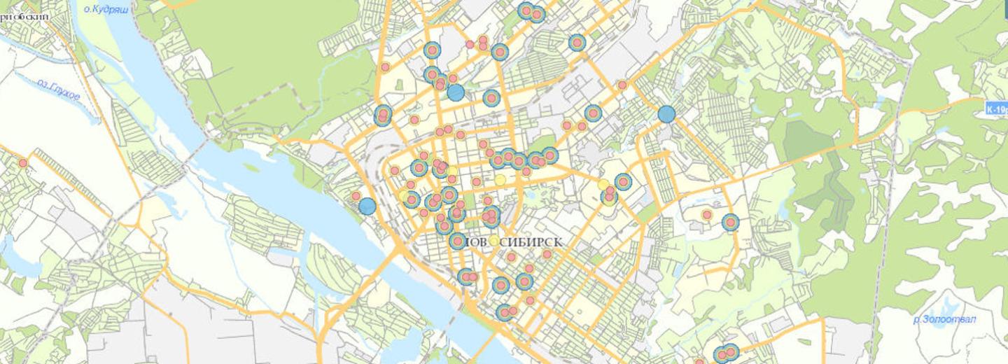 Карту тестирования на коронавирус создали в Новосибирской области