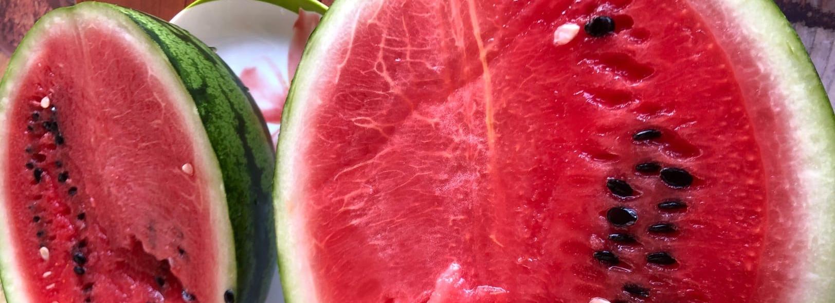 Лето в разрезе: садовод-блогер из Новосибирска вырастила гигантский арбуз