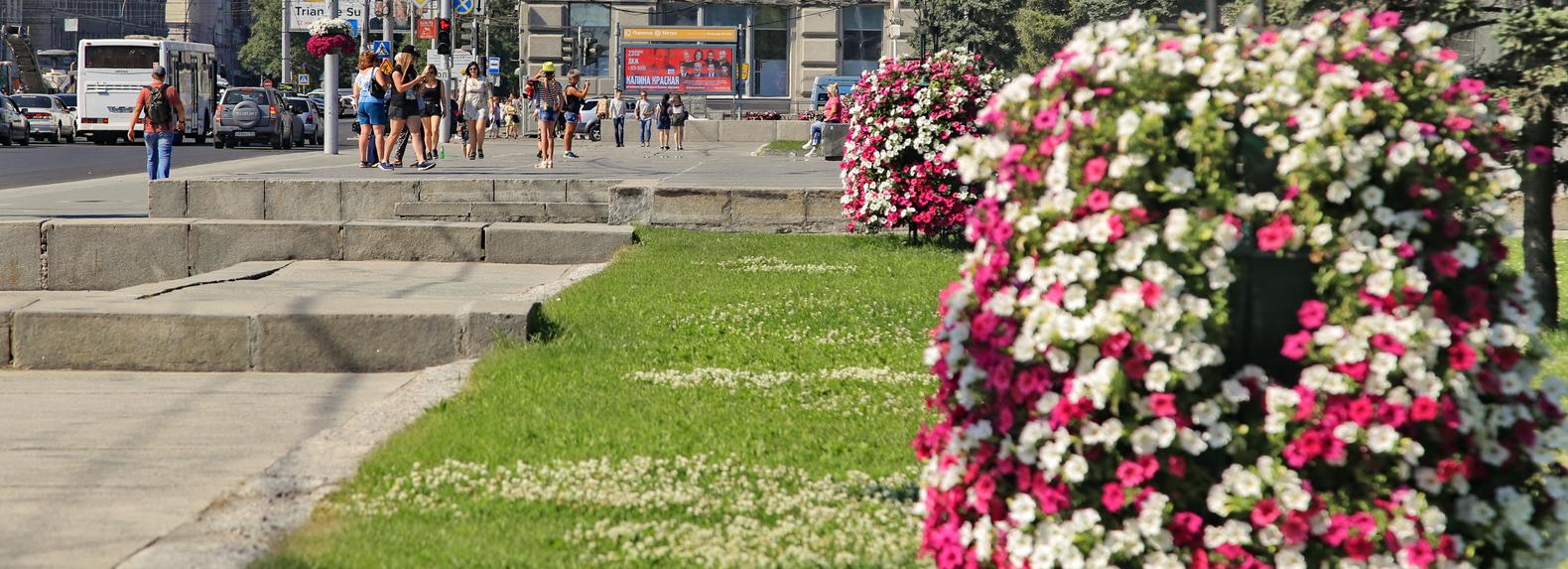 700 тысяч цветов украсили Новосибирск этим летом